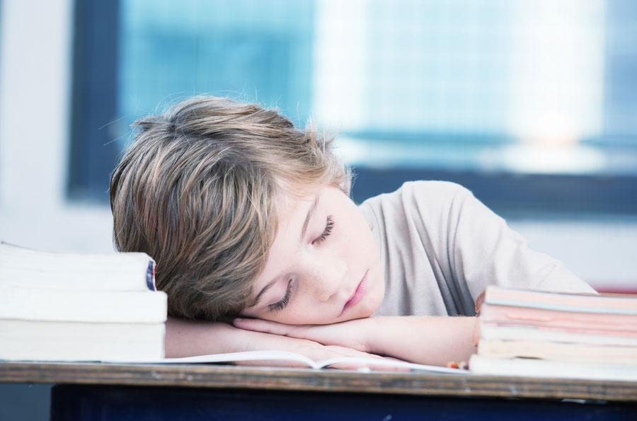 tired boy asleep over his books