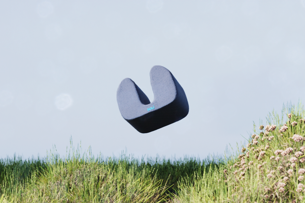  Soli, the pillow with a speaker, pictured in a scenic grassy area.